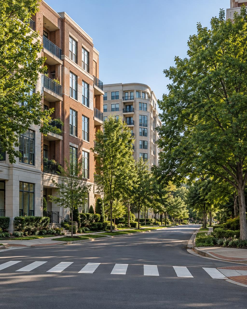 Arlington neighborhood photograph